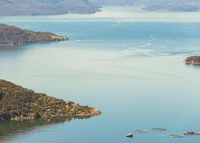 Beautiful In Ferienhaus Jondal